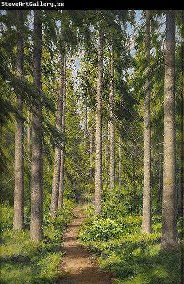 johan krouthen Sunlit forest path